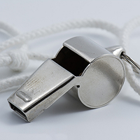 Whistleblower Retaliation